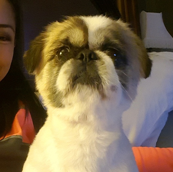 nikspike